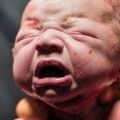 aspecto de los bebés recién nacidos